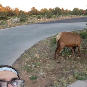 Meet your Posher, John